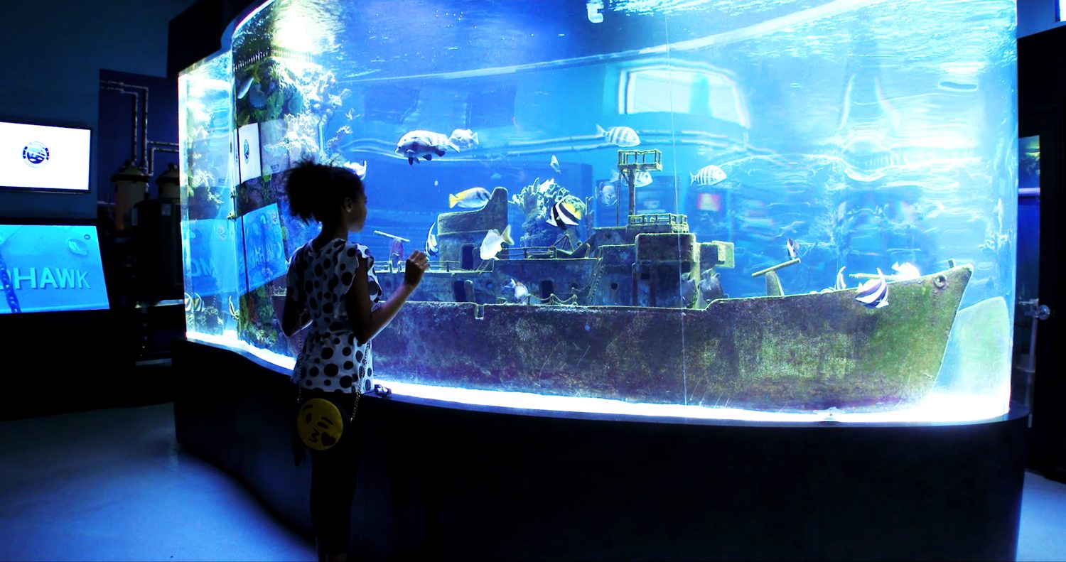MESMERIZED AT THE USS MOHAWK CGC AQUARIUM