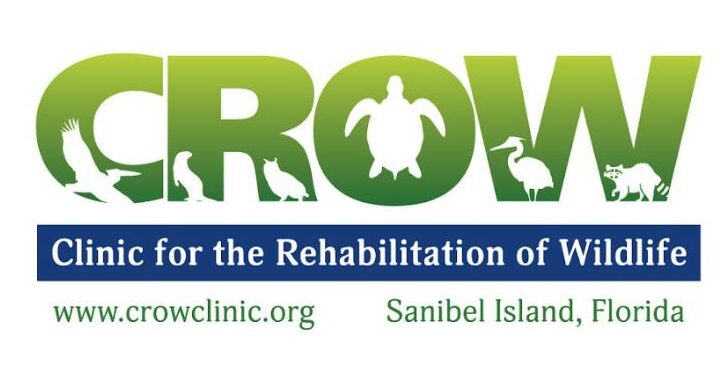 CROW — Clinic for the Rehabilitation of Wildlife