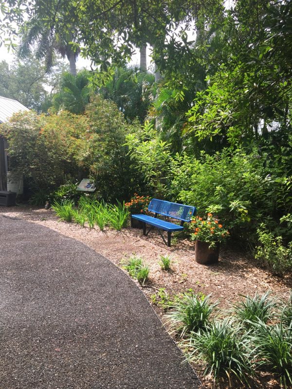 Blue garden bench and flowering container beside the garden walkway