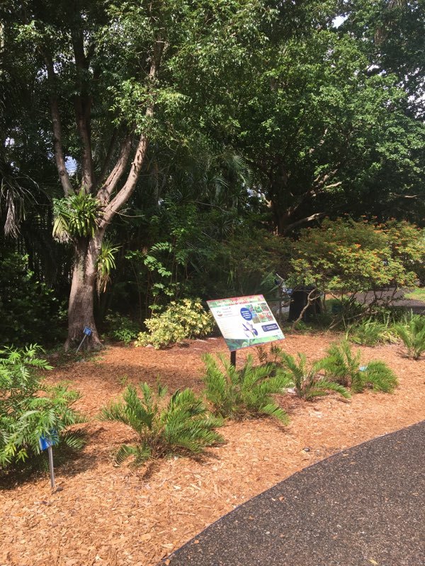 Interpretive sign in a mulched fern bed at IMAG Backyard Nature
