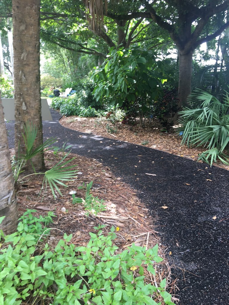 Shaded mulch path winding through palmetto and groundcover