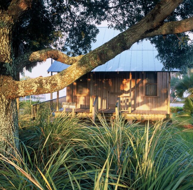 Replica Florida Cracker house with wide porches and a metal roof beneath a live oak