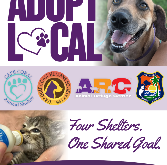Adopt Local graphic with the logos of Lee County's four animal shelters