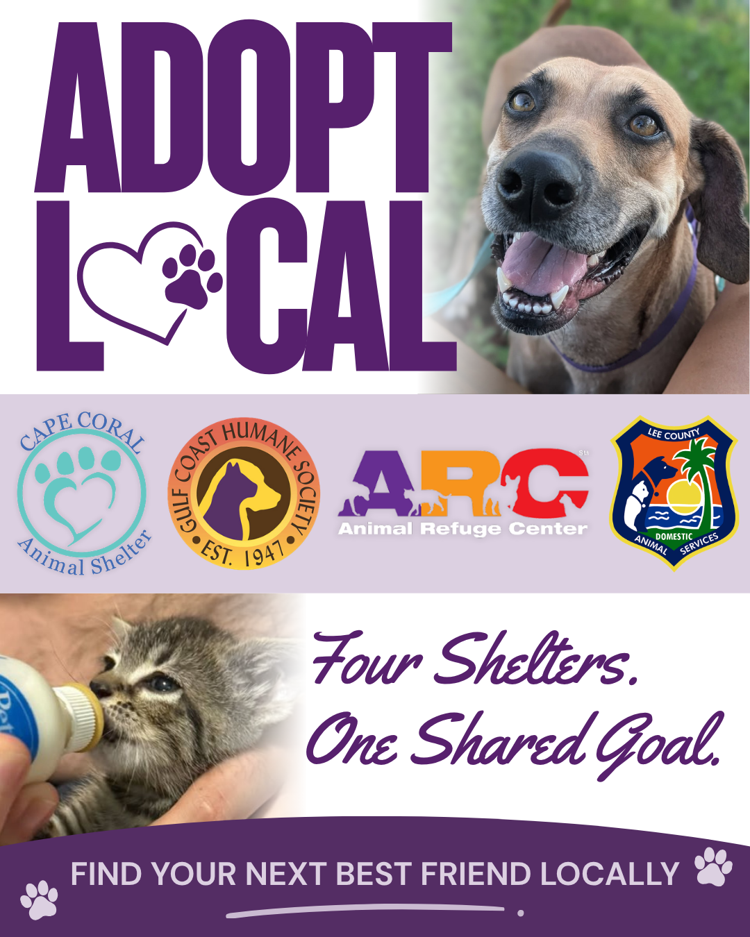 Adopt Local graphic with the logos of Lee County's four animal shelters