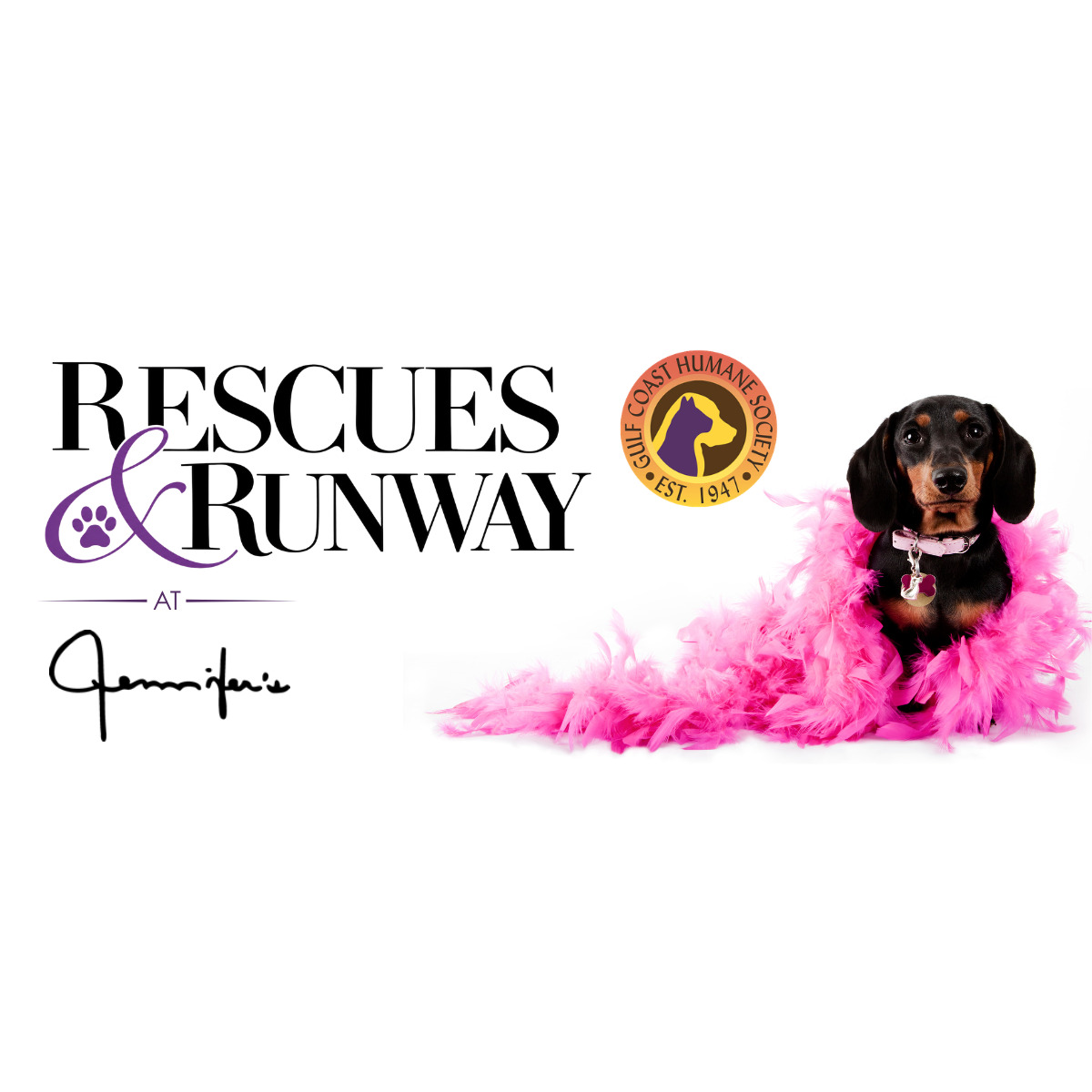 Dachshund in a pink feather boa with Rescues & Runway and Gulf Coast Humane Society logos