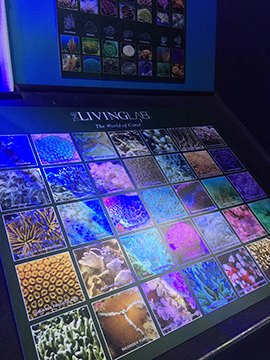 Living Lab display panel showing photographs of many coral varieties