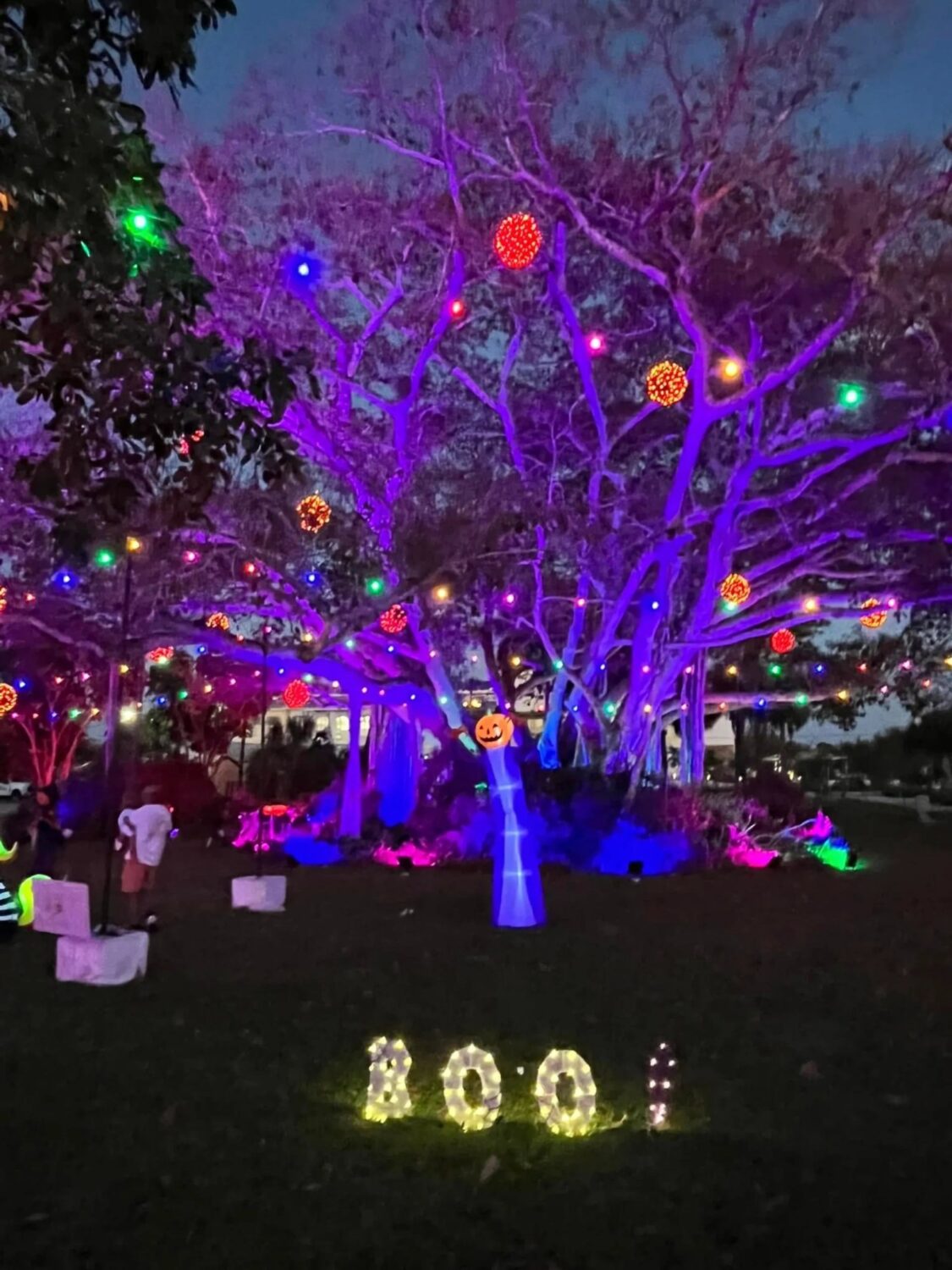 Trees lit in purple and green with a BOO sign for Happy Haunts in Bonita Springs
