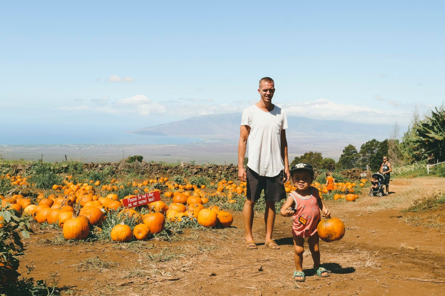 A parent and child at a pumpkin patch. Photo: Derek Owens / Unsplash